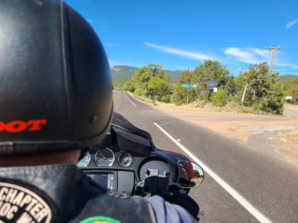 Oh Deer! Safe Driving Tips To Avoid Hitting A Deer On Your Motorcycle ...